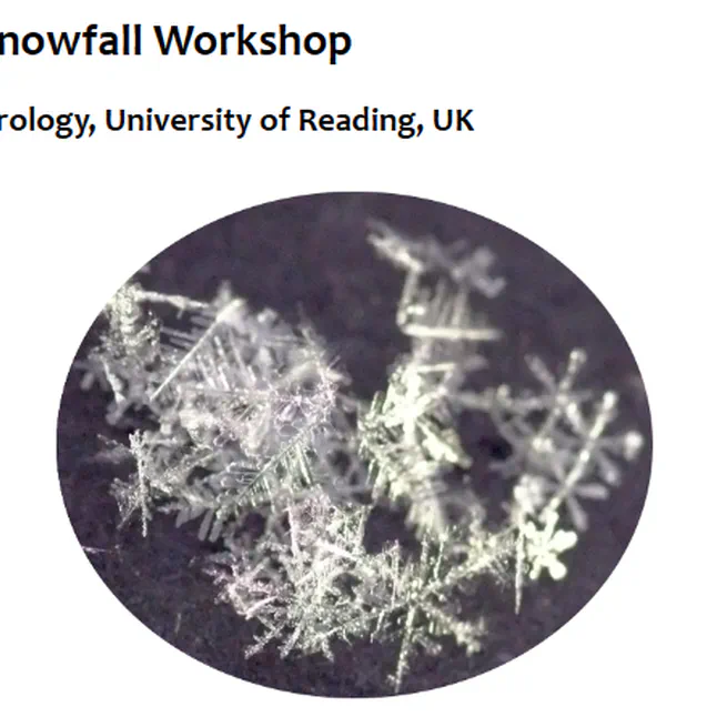 Which ice microphysical processes can explain the typical radar signatures in the dendritic growth layer?